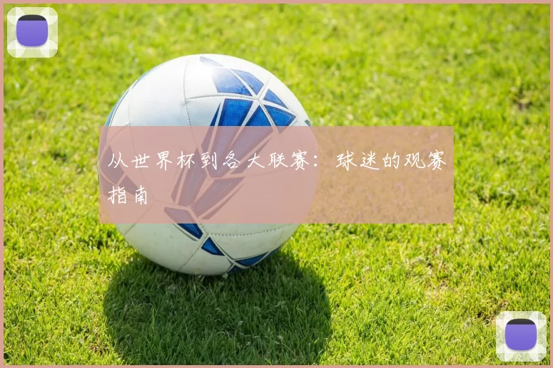 从世界杯到各大联赛：球迷的观赛指南