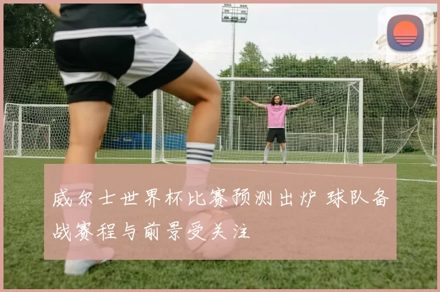 威尔士世界杯比赛预测出炉 球队备战赛程与前景受关注
