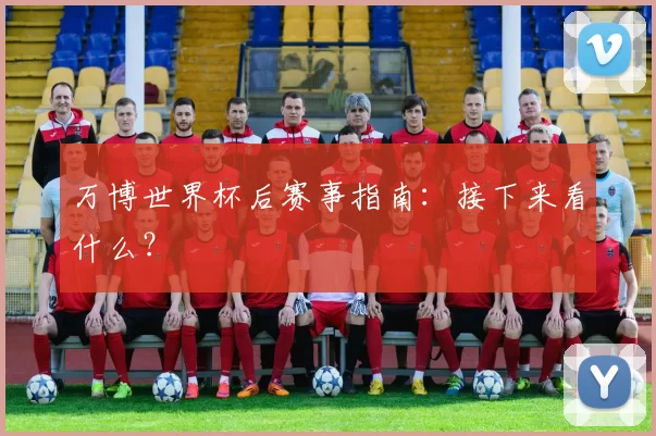 万博世界杯后赛事指南:接下来看什么?