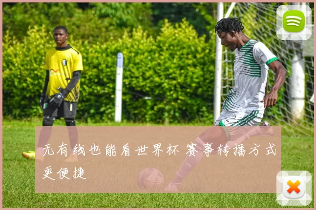 无有线也能看世界杯 赛事转播方式更便捷
