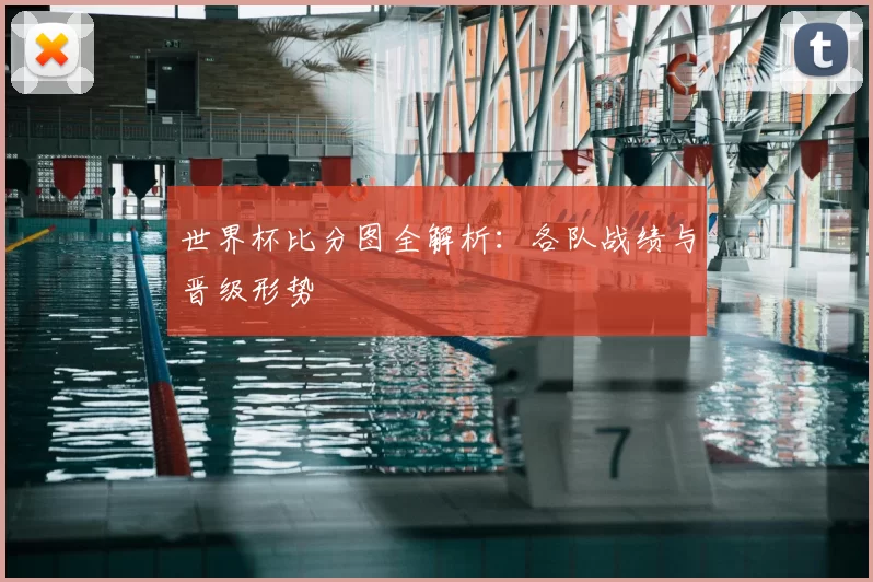 世界杯比分图全解析：各队战绩与晋级形势