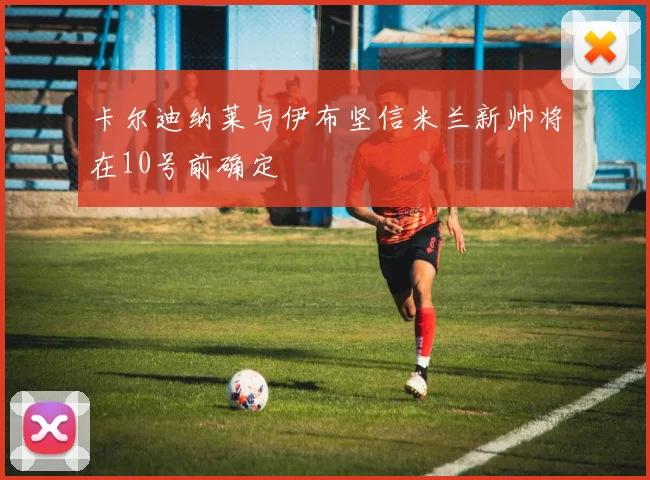 卡尔迪纳莱与伊布坚信米兰新帅将在10号前确定