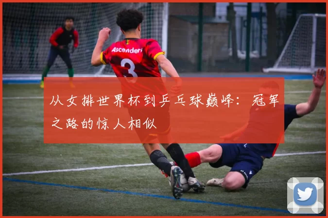 从女排世界杯到乒乓球巅峰：冠军之路的惊人相似