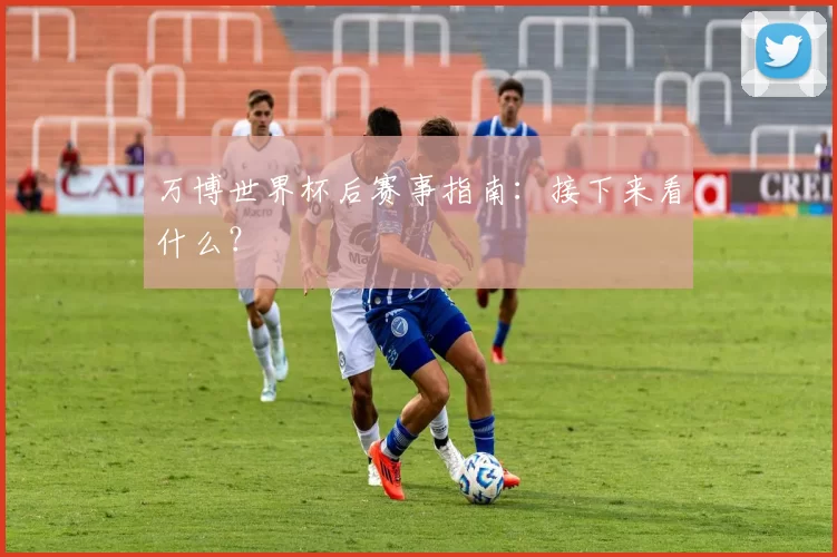 万博世界杯后赛事指南:接下来看什么?