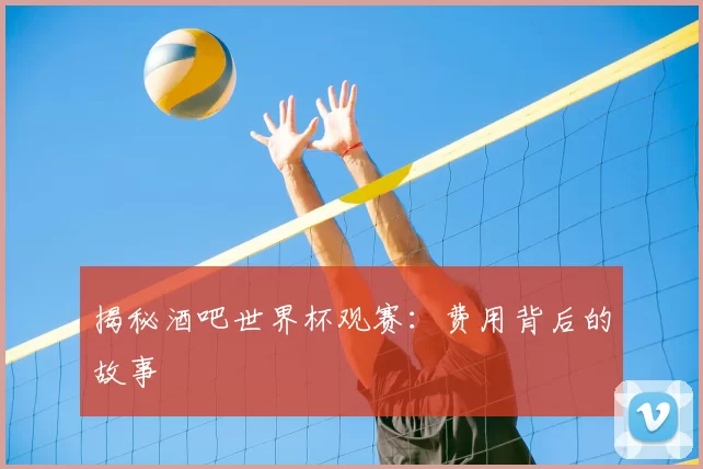 揭秘酒吧世界杯观赛：费用背后的故事