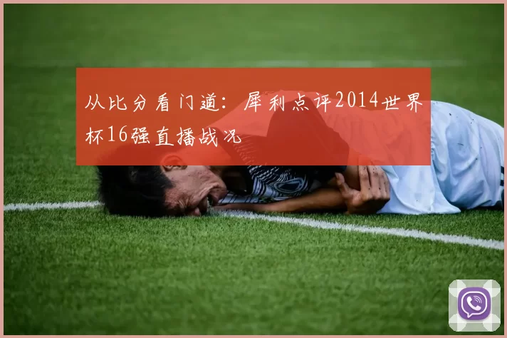 从比分看门道:犀利点评2014世界杯16强直播战况