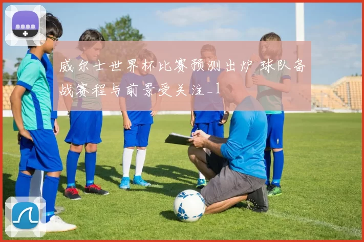 威尔士世界杯比赛预测出炉 球队备战赛程与前景受关注_1