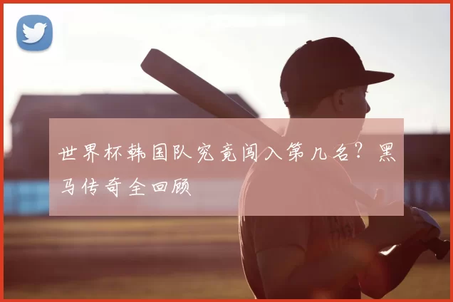 世界杯韩国队究竟闯入第几名？黑马传奇全回顾